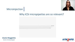 Why Icsi Micropipettes Are So Relevant?