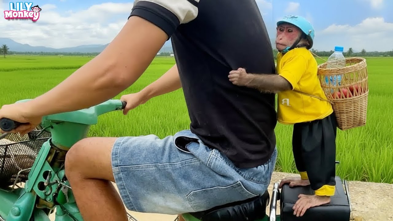 Lily didn't want to stay home alone when dad went to work, and then… | Lily's story