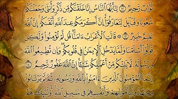 سورة الحجرات الاية  13