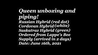 queen unbox and piping