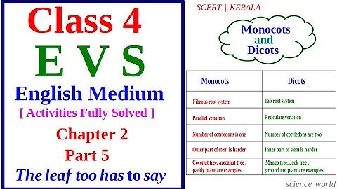 EVS Class 4 | English medium / Chapter 2 /Part 5/The Leaf too has to say/science world/scert Kerala