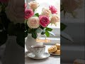 #beautiful #morning 🥰❤️🍁🌺🎄#vibes #blessings #trending #viral #shortfeed 🎄🍁❤️🌺🙂🕉️🍁🌻🌺🎁💕