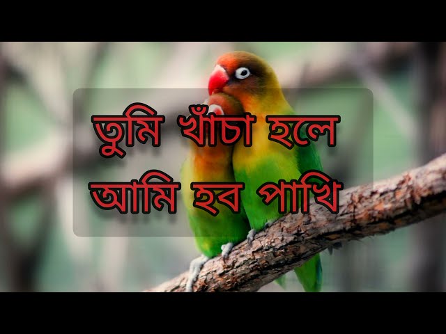 Tumi khacha hole Lyric video || Pankaj Udhas class=