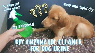 DIY ENZYMATIC CLEANER FOR DOG URINE | TANGGAL BAHO AT SUPER TIPID NITO