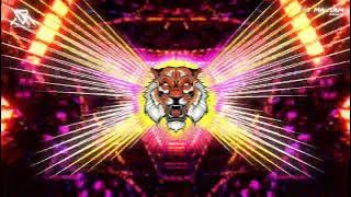 BIRGU BABA KI JAI { TRANCE JAIKARA } #trending MIX BY DJ MAUSAM BALLIA || 9978005930