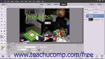 Photoshop Elements 15 Tutorial Text Basics Adobe Training