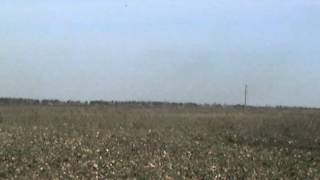 охота на гуся  в Переславском ООиР  (часть 2)