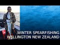 Winter Spearfishing 2020 - Wellington New Zealand - Winter Kingfish