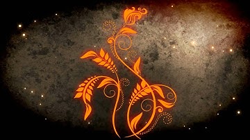 Intro After Effects CS4 Flourish HD + Evolution (VideoCopilot)