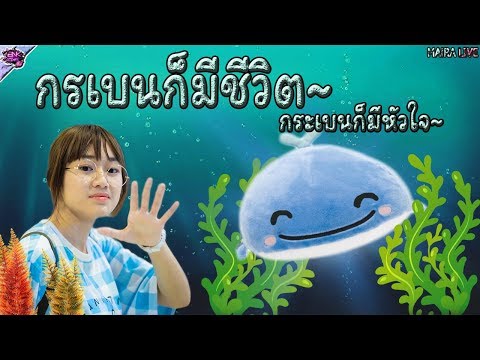 BNK48 กระเบนก็มีชีวิต~ กระเบนก็มีหัวใจ~ MAIRA | BNKCompact
