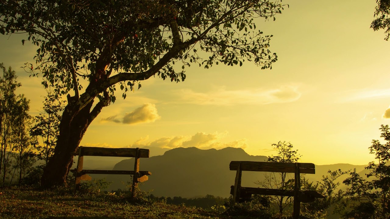 Le deuil d'une vie imaginée