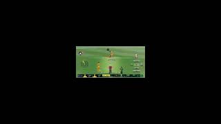 Tata IPL Challenge Real Cricket Swipe : 👍 Good stream | Playing Solo | Streaming with Turnip