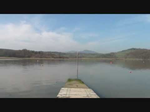 Birdsong Of The Solway.wmv