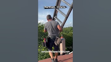 The Summer Slog. Bat proofing work on  the roof #batcontrol #construction #batremoval