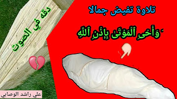((قصة مريم وعيسى)) بأجمل أداء للشيخ علي راشد الوصابي.أجمل 6دقائق من التلاوات