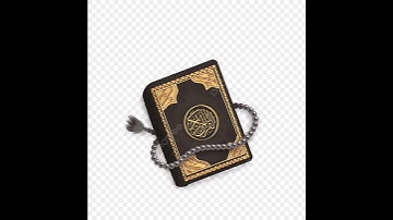 من أجمل ما قرأ القارئ أمين موسى. ج٣٠