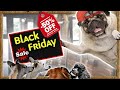 BLACK FRIDAY SALE Learn to GROOM your DOG at HOME For $99