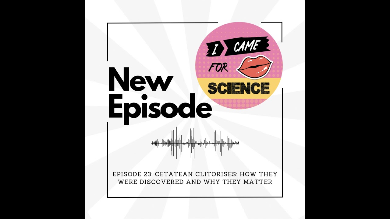 Episode 23: Cetacean Clitorises: How they were discovered and why they matter