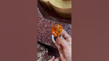 एक पुष्प पर सहद लगाकर शिवलिंग पर चढ़ाने का उपाय #mahadev #pandit_pradeep_ji_mishra