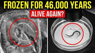 Scientists Awakened a 46,000-Year-Old Frozen Creature