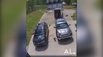 Video of 4-year-old bitten by rattlesnake in Alabama.