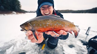 Top 3 Mistakes Ice Fishermen Make! (First Ice Trout)
