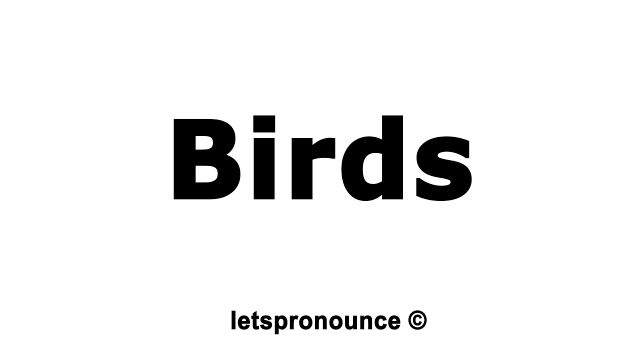 How to Pronounce Birds YouTube