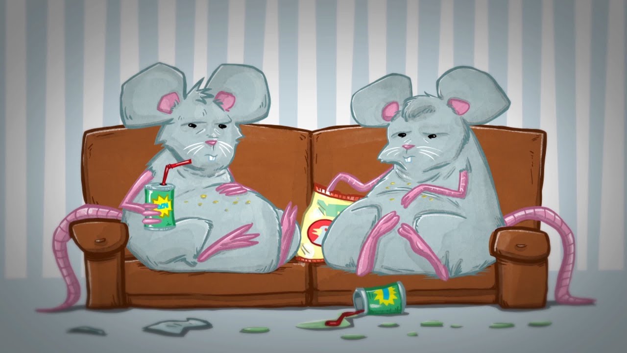 Winner 61st Cine Golden Eagle Awardsecond Step Middle School Lesson Videos