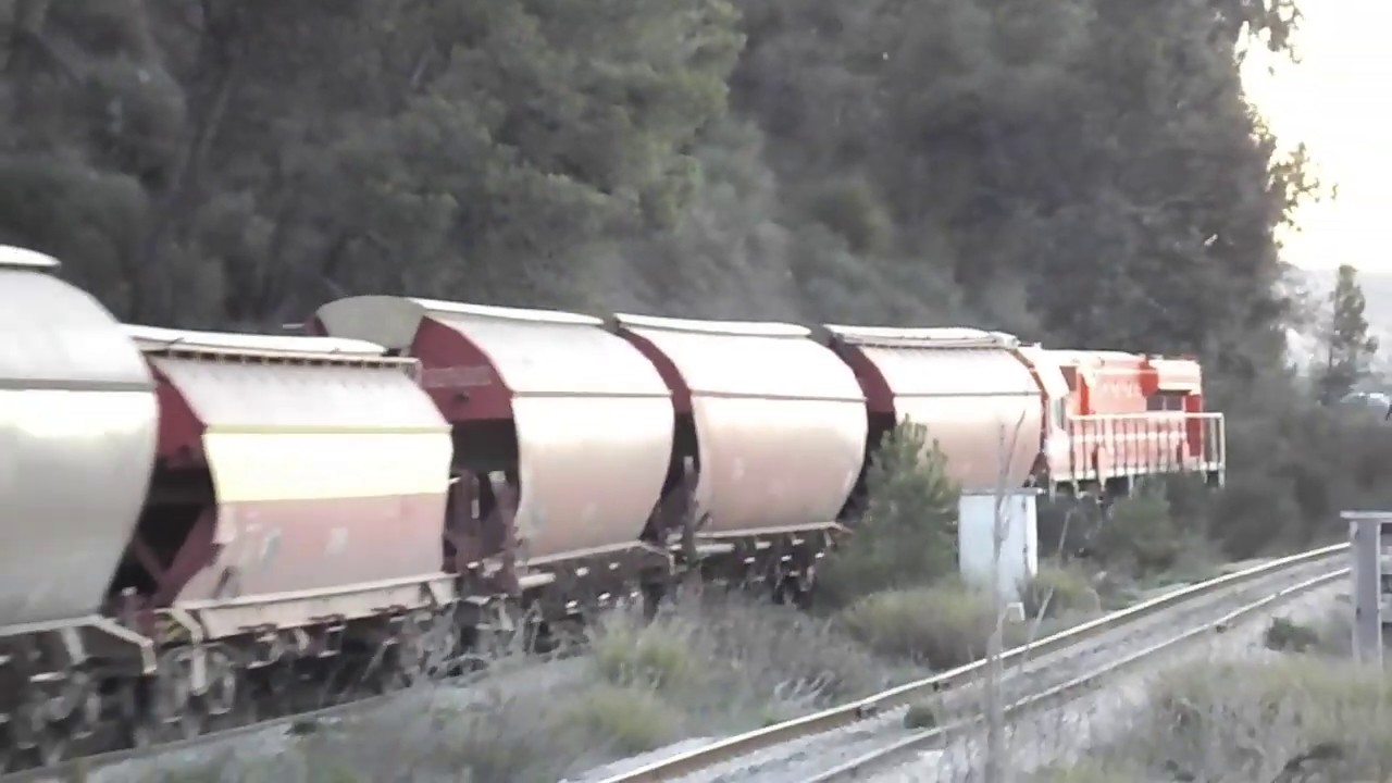 #Sntf : 3 trains vers le sud de l'Algérie