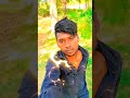 Ring ring instagram youtube youtubeshorts viral ring ring trending vip golu rajput youtuber