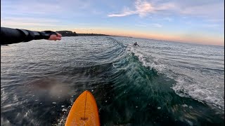 7'6 ALBUM 　TOWNSEND 　ミッドレングス　ツイン Townsend – Album Surf