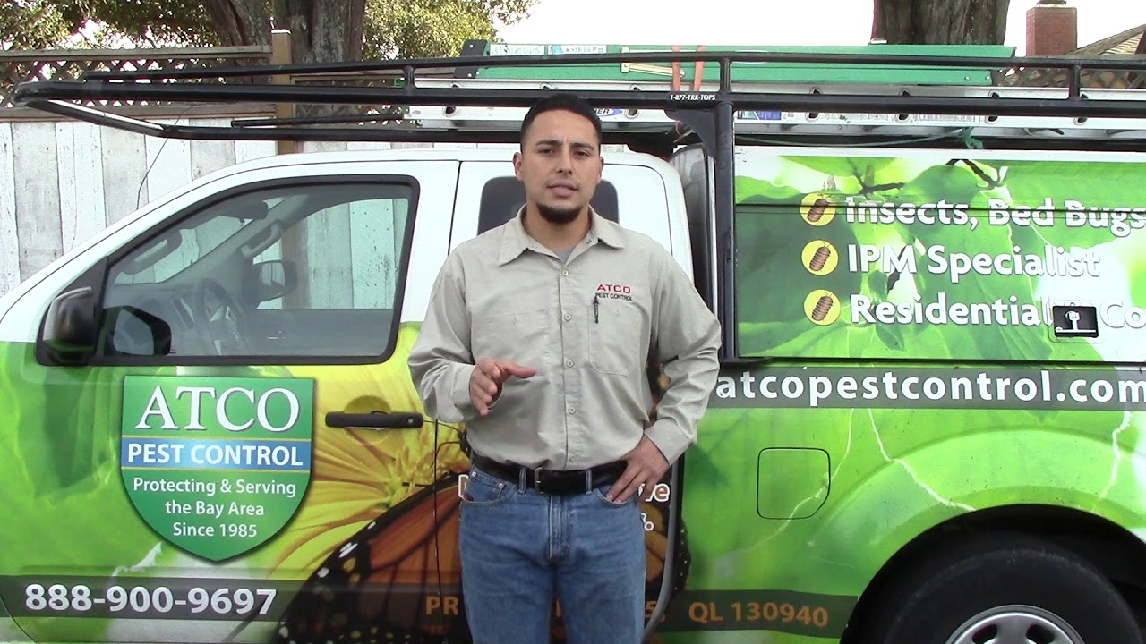 Cool Review About Atco Pest Control Marin
