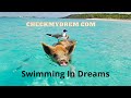 Decoding the Symbolism of Swimming Dreams: A Comprehensive Analysis
