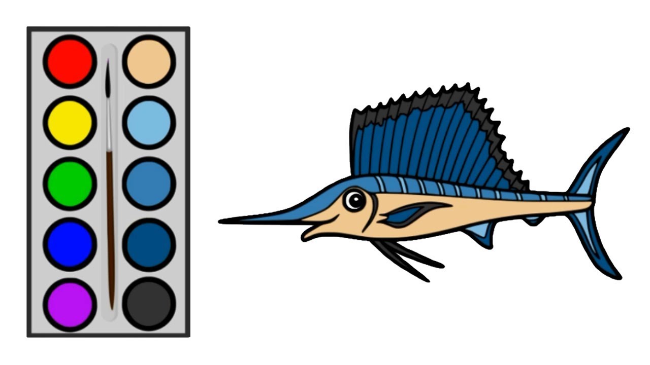 Cara Menggambar Ikan Layar Menggambar dan Mewarnai Ikan 