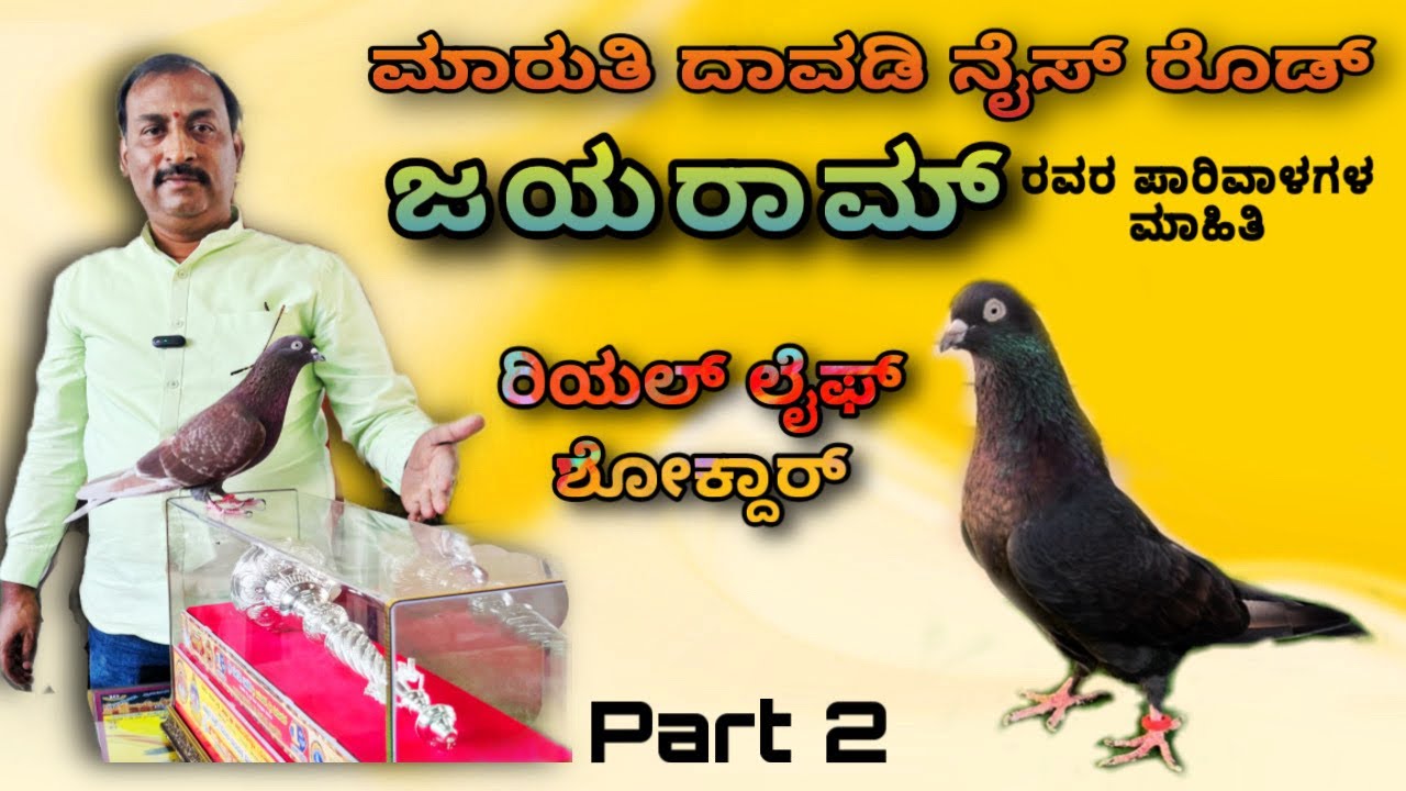 Nice Road Jayaram | Real Life Shokdhar | Part 2 |Bangalore_Pigeon