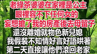 老綠茶婆婆在家裡是公主眼裡容不下任何女的妄想搶了我的房產後去母留子還沒離婚就物色新兒媳我假裝不知情好言好語哄著他們第二天直接讓他們滾回老家#小小説故事 #深夜讀書 #爽文 #婚姻 #情感故事