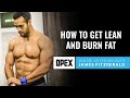 How to gain lean muscle naturally and lose body fat