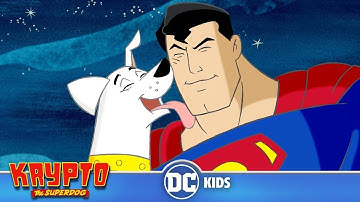 Krypto The Superdog em Português 🇧🇷 | Uma Visita do Super-Homem | DC Kids