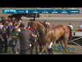 Two Rivers Over wins race 8 at Del Mar 9/10/23.