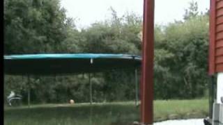 trampoline edit 08
