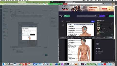 Caveat to hosting Canvas images on Imgur, and its solution