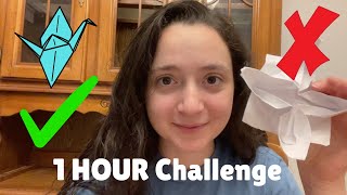 I Tried To Learn Origami in 1 HOUR