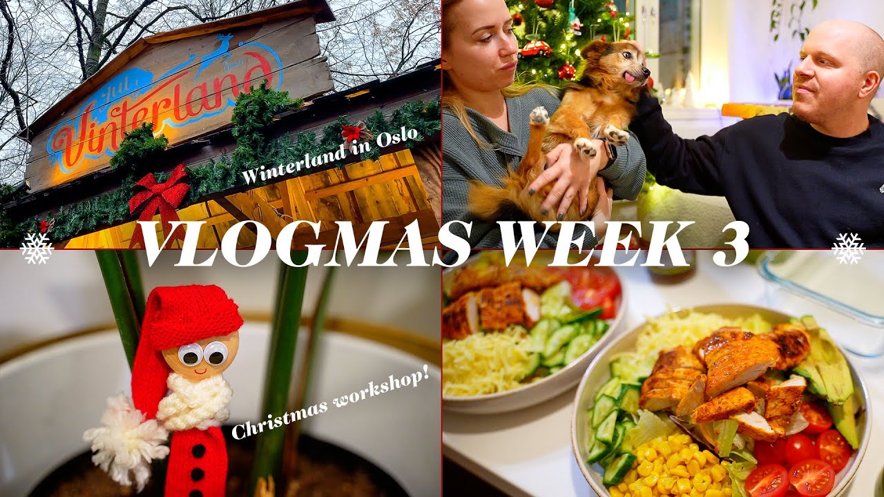 VLOGMAS WEEK 3 / Christmas Market In Oslo