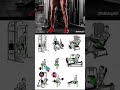 Build Strong Legs Fast 🔥 #fitness #motivation #gymlife #gymmotivation #trending #gymlover #viral