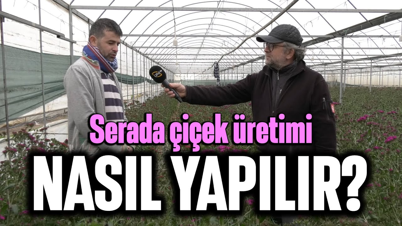 Serada Çiçek Üretimi Nasıl Yapılır? - Bizim Köy