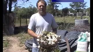 04 HUERTAS CHILIBROSTE