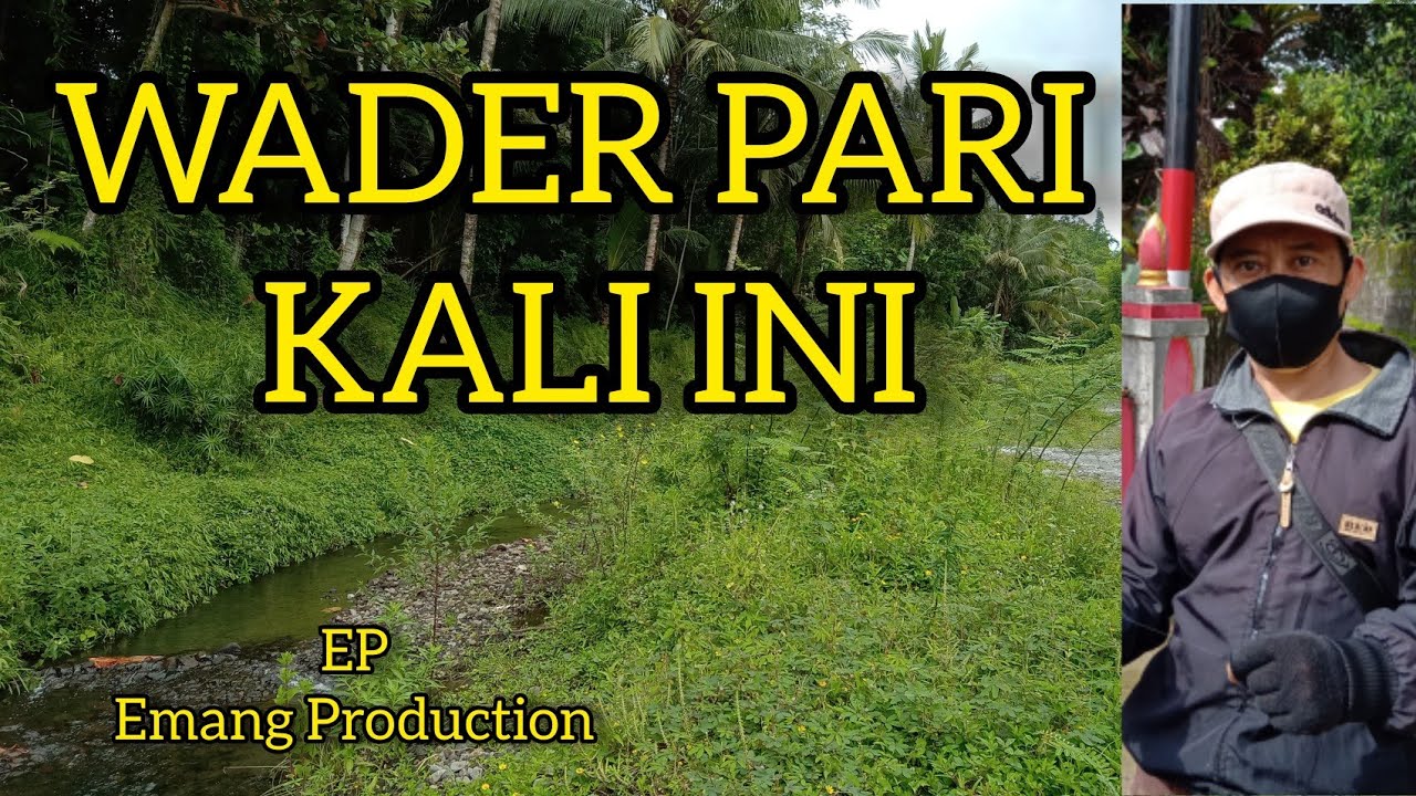 WADER PARI KALI BOYONG 