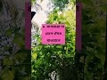 বাচ্চার জ্বর হলে যে ভুল করে 😢 #childcare #babycare #healthtips #babyfood #babyhealth #motivation
