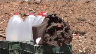 204 Ruger vs 22-250 vs 25lb clay blocks at 200 yards