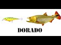 DOCUMENTAL - El Dorado Pez Argentino- Seleccion de señuelos para Dorado - Alma Pesca